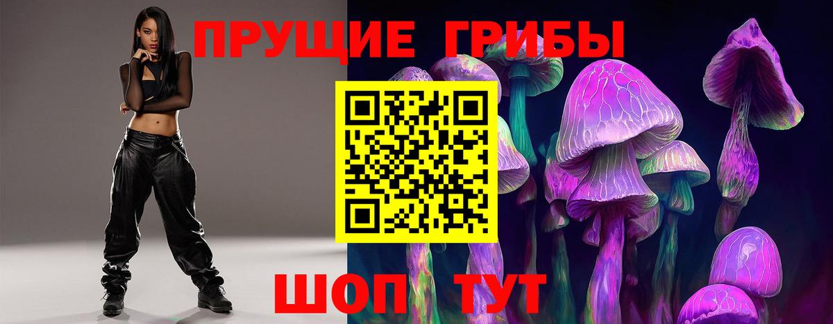 Псилоцибиновые грибы MAGIC MUSHROOMS  Галлюциногенные грибы GOLDEN TEACHER  Ейск  Вход с VPN 